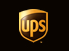 UPS Express Saver with online tracking, insured